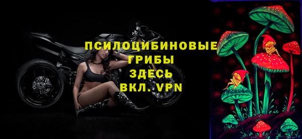 таблы Весьегонск